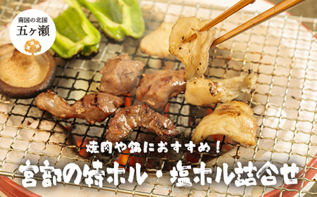 宮部の特ホル・塩ホル詰合せ　|　豚肉　ホルモン　特ホル　塩ホル　宮崎県　五ヶ瀬町　