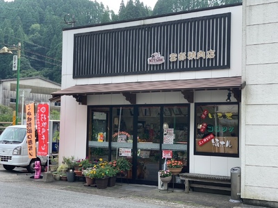 宮部の特ホル・塩ホル詰合せ　|　豚肉　ホルモン　特ホル　塩ホル　宮崎県　五ヶ瀬町　