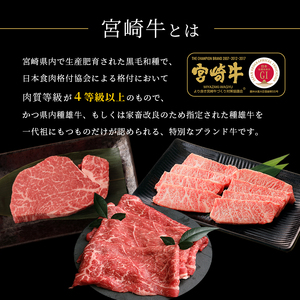 宮崎牛　カルビ焼肉　合計１ｋｇ