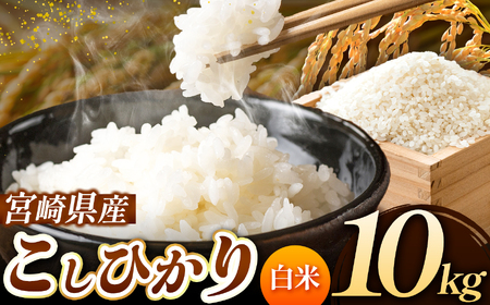 令和7年産  新米 こしひかり 10kg （白米） 宮崎県産 | お米 精米 白米 選べる 容量 無洗米 五ヶ瀬町