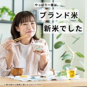 【定期便３回】令和7年産  新米 こしひかり 5kg （白米） 宮崎県産 | 米 こめ お米 おこめ 精米 白米 コシヒカリ 宮崎県 五ヶ瀬町