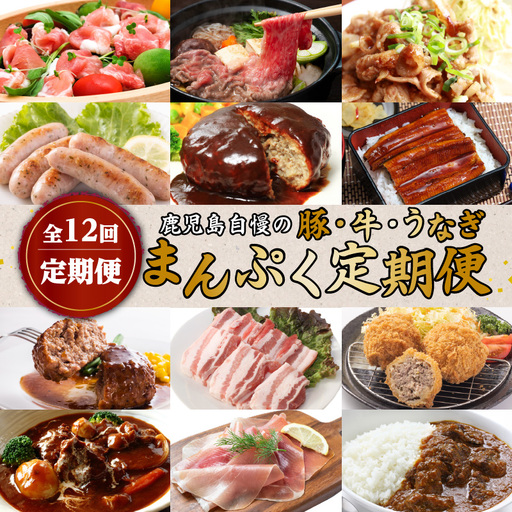 【 全12回定期便 】鹿児島 自慢の 豚 ・ 牛 ・ うなぎ「まんぷく定期便」 K086-T10 惣菜 総菜 冷凍