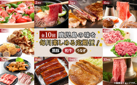 【 全10回定期便 】鹿児島 自慢の 豚 ・ 牛 ・ うなぎ「 満足定期便 」 K086-T11 惣菜 総菜 冷凍