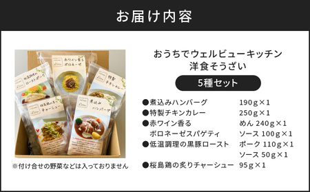 「おうちでウェルビューキッチン」 洋食 そうざい 5種 セット K158-003  惣菜 総菜 おかず ハンバーグ カレー パスタ 豚 豚肉 鶏 鶏肉 黒豚 桜島