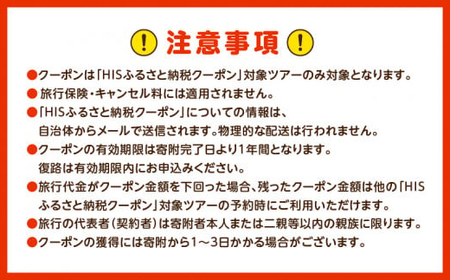 鹿児島県 鹿児島市 の 対象 ツアー に使える HIS ふるさと納税 クーポン 寄附額50,000円 HIS-005