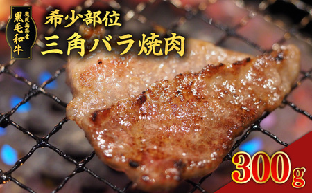 希少部位 黒毛和牛三角バラ 焼肉300g K086-043 肉 牛肉 黒毛和牛 和牛 特上カルビ カルビ 三角バラ バラ 霜降り 希少 赤身 脂身  焼肉 焼き肉 冷凍 送料無料 鹿児島市 贈り物 プレゼント ギフト 贈答 | 鹿児島県鹿児島市 | ふるさと納税サイト「ふるなび」