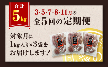 焼き芋 紅はるか 全5回定期便 3kg 【畑の金貨】 K181-T02