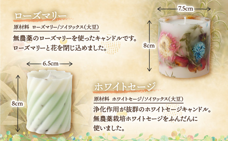 ボタニカルアロマキャンドル＋1ml原液パワーオイル＋ポンポンボール2個＋スポイド 楽天市場】【SABON公式】 サボン シャワーオイル 500mL パチュリ