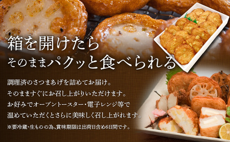 【5営業日以内に発送】 揚立屋 さつまあげ ふるさと便 さつま芋入り K197-005 スピード配送 最短 すぐ届く お急ぎ