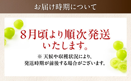 2024年 8月 お届け 先行予約 ！ 【 桜島産 】 シャインマスカット 2房 K261-001_02 シャイン マスカット ぶどう 葡萄 果物 フルーツ 旬 糖度 18度 皮ごと 種なし 種無し 農家 中尾農園 鹿児島 おすすめ ランキング プレゼント ギフト果物 フルーツ 旬 桜島 桜島産 農園 農家 数量限定 限定 先行 予約 8月頃より順次発送 送料無料 鹿児島市 土産 贈り物 プレゼント ギフト 贈答