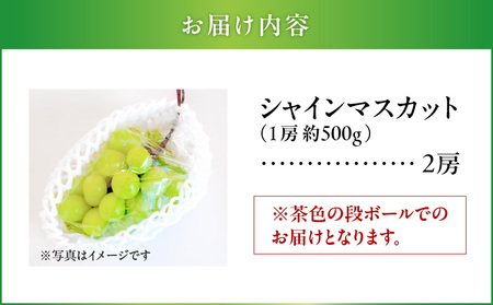 2024年 8月 お届け 先行予約 ！ 【 桜島産 】 シャインマスカット 2房 K261-001_02 シャイン マスカット ぶどう 葡萄 果物 フルーツ 旬 糖度 18度 皮ごと 種なし 種無し 農家 中尾農園 鹿児島 おすすめ ランキング プレゼント ギフト果物 フルーツ 旬 桜島 桜島産 農園 農家 数量限定 限定 先行 予約 8月頃より順次発送 送料無料 鹿児島市 土産 贈り物 プレゼント ギフト 贈答