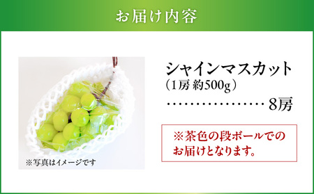 2024年8月お届け先行予約！【桜島産】シャインマスカット　8房　K260-001_05 シャイン マスカット ぶどう ブドウ 葡萄 糖度 18度 皮ごと 種なし 種無し 粒 果汁 果物 フルーツ 旬 桜島 桜島産 農園 農家 数量限定 限定 先行 予約 8月頃より順次発送 送料無料 鹿児島市 土産 贈り物 プレゼント ギフト 贈答