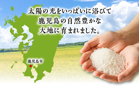 令和5年産 BG無洗米 鹿児島県 ヒノヒカリ 10kg K226-004_04 お米 白米