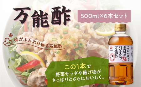 ヒシク 藤安醸造　万能酢　500ml×6本 セット　K026-015 調味料 酢 万能 梅 野菜 サラダ ドレッシング もずく ところてん しゃぶしゃぶ かつおのたたき 送料無料 鹿児島市 土産 贈り物 プレゼント ギフト 贈答