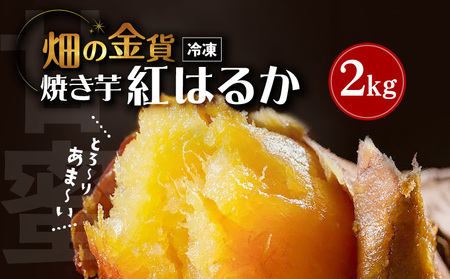 まとめ割10％OFF】種子島産 安納芋 熟成 冷凍焼き芋 2kg 18-22個