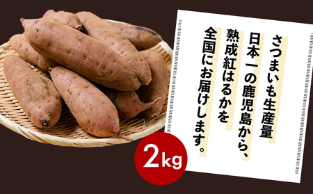 畑の金貨　生芋　紅はるか 2kg　K181-004 さつまいも 生 芋 野菜 長期 熟成 ねっとり しっとり 甘い 焼き芋 焼芋 天ぷら スイートポテト 大学芋 料理 加治木産業 甘いも販売所 甘いも 甘芋 送料無料 鹿児島市 土産 贈り物 プレゼント ギフト 贈答