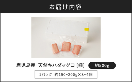 鹿児島産　天然　キハダマグロ　柵　約500g　K100-005 鹿児島 おすすめ ランキング プレゼント ギフト 冷凍 魚 天然 マグロ ブロック 刺身 生 マグロ丼 小分け 冷凍 便利 鮮度 ボリューム 急速冷凍 真空 パック ノンドリップ ドリップなし 刺身維新 津曲商店