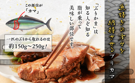 【 山実水産 】 ブリアラ煮 （ レトルト ） 5パック 入り K046-002 魚
