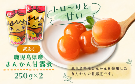 【訳あり】鹿児島県産きんかん甘露煮 500g K032-004 訳あり わけあり 限定 規格外 果物 フルーツ スイーツ 金柑 きんかん 甘露煮 数量限定 丸八 ふるさと納税 鹿児島 おすすめ ランキング プレゼント ギフト