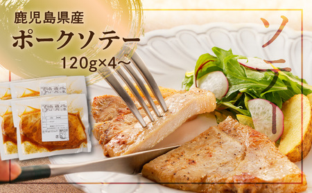 【ナンチクファクトリー】鹿児島県産豚肉味付け3種(10食) K073-010_01 肉 豚肉 惣菜 総菜 冷凍