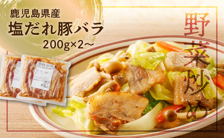 【ナンチクファクトリー】鹿児島県産豚肉味付け3種(10食) K073-010_01 肉 豚肉 惣菜 総菜 冷凍