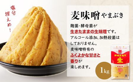 【5営業日以内に発送】「 かねよみそしょうゆ 」 創業明治45年 蔵元直送 南国かごしまの味噌食べ比べ 3種 セット K058-018 調味料 スピード配送 最短 すぐ届く お急ぎ