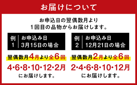 【 訳あり 】 【 全6回 偶数月 】 切り落とし ベーコン 定期便 K161-T02 肉 豚肉 冷凍