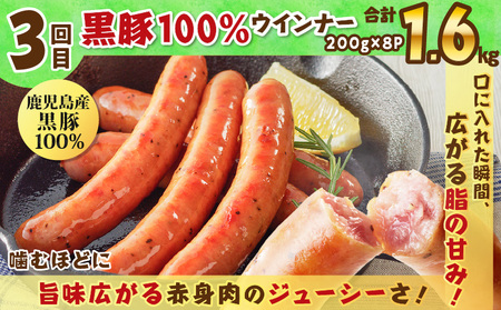 【 訳あり 】 【 全3回 偶数月 】 バラエティ 定期便 K161-T04 肉 豚肉 冷凍