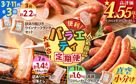 【 訳あり 】 【全3回】バラエティ 定期便 （3・7・11月 お届け ） K161-T05 肉 豚肉 冷凍