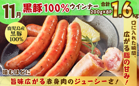 【 訳あり 】 【全3回】バラエティ 定期便 （3・7・11月 お届け ） K161-T05 肉 豚肉 冷凍