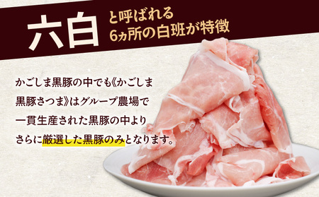 【全3回】 かごしま黒豚 さつま切落し 1.6kg K287-T02 肉 豚肉 冷凍