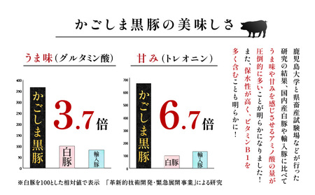 【 10営業日以内に発送 】 鹿児島黒豚 ・ 熟成 魚節出汁 しゃぶ セット K265-002 肉 豚肉 冷凍 スピード配送 最短 すぐ届く お急ぎ