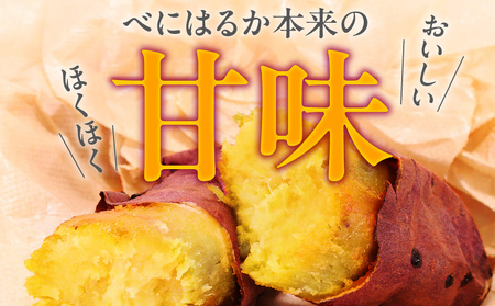 いも農家 の 極甘焼きいも（ べにはるか 冷凍 1.3kg） K270-002  焼き芋 紅はるか 芋 さつまいも 野菜 限定 期間限定 数量限定 冷凍 おやつ 減農薬 個包装 甘い しっとり 甘味 熟成 焼き芋アイス 手軽 n-farm ふるさと納税 鹿児島 おすすめ ランキング プレゼント ギフト