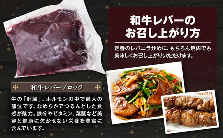 和牛レバーブロック600g（300g×2パック） K002-040 レバー 和牛レバー 黒毛和牛 牛 牛肉 肉 肝臓 牛の肝臓 牛 安心安全 レバーブロック 国産 鉄分 冷凍 レバニラ 焼肉 加熱用 カミチク ふるさと納税 鹿児島 鹿児島市 おすすめ ランキング プレゼント ギフト