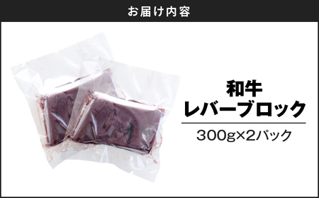 和牛レバーブロック600g（300g×2パック） K002-040 レバー 和牛レバー 黒毛和牛 牛 牛肉 肉 肝臓 牛の肝臓 牛 安心安全 レバーブロック 国産 鉄分 冷凍 レバニラ 焼肉 加熱用 カミチク ふるさと納税 鹿児島 鹿児島市 おすすめ ランキング プレゼント ギフト