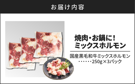 焼肉・お鍋に！ミックスホルモン750g（250g×3パック） K002-005_01 肉 牛 ホルモン お肉 牛肉 もつ鍋 焼肉 焼き肉 にく 鍋 おかず つまみ 国産 ミックスホルモン ホルモン炒め もつ 小腸 シマ腸 アカセン ハツ 直腸 小分け パック 夕食 夜ご飯 夜ごはん よるごはん カミチク ふるさと納税 鹿児島 鹿児島市 おすすめ ランキング プレゼント ギフト