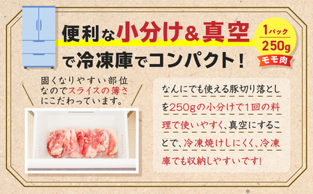 鹿児島県産 豚切り落とし 250g×8パック 計2kg K151-003 肉 豚肉 冷凍