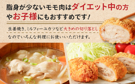 鹿児島県産 豚切り落とし 250g×8パック 計2kg K151-003 肉 豚肉 冷凍