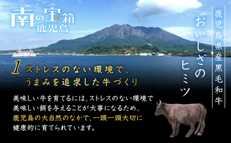 鹿児島県産 黒毛和牛スライス（ブリスケット）500g K151-001 肉 肉汁 牛肉 牛 ビーフ 黒毛和牛 国産牛 和牛 わぎゅう 牛しゃぶ すき焼き すきやき ブリスケット ブリスケ スライス 新鮮 甘い 牛しゃぶサラダ 贈り物 鹿児島県産 F.create ふるさと納税 鹿児島市 おすすめ ランキング プレゼント ギフト