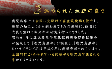 鹿児島県産 黒毛和牛スライス（ブリスケット）500g K151-001 肉 肉汁 牛肉 牛 ビーフ 黒毛和牛 国産牛 和牛 わぎゅう 牛しゃぶ すき焼き すきやき ブリスケット ブリスケ スライス 新鮮 甘い 牛しゃぶサラダ 贈り物 鹿児島県産 F.create ふるさと納税 鹿児島市 おすすめ ランキング プレゼント ギフト