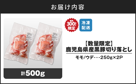 【14営業日以内に発送】【数量限定】鹿児島県産 黒豚切り落とし 500g K025-001_01 肉 豚肉 冷凍 スピード配送 最短 すぐ届く お急ぎ