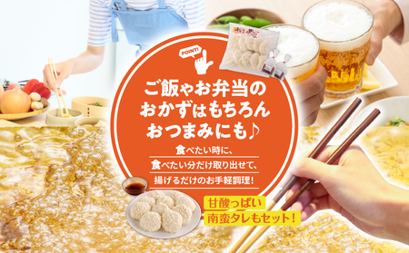 鹿児島県産 サクサク チキン南蛮 10枚入 × 2袋 （ タレ付 ） K219-003 南蛮 チキン 鶏肉 鶏 天玉 ご飯 お弁当 おかず 南蛮タレ 揚げるだけ 簡単調理 簡単 時短 昼食 夕食 タレ付き 美味しい 冷凍 アサヒ物産 ふるさと納税 鹿児島 おすすめ ランキング プレゼント ギフト