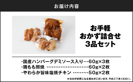 お手軽 おかず 詰合せ 3品 セット K219-005 おかず詰め合わせ おかずセット ハンバーグ 鶏もも照焼 旨塩チキン 国産ハンバーグ デミソース チキン やわらか 照り焼き 照焼チキン 鶏肉 豚肉 湯煎 冷凍 簡単調理 簡単 時短 昼食 夕食 美味しい アサヒ物産 ふるさと納税 鹿児島 おすすめ ランキング プレゼント ギフト