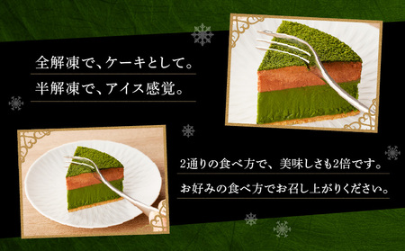 鹿児島県産 知覧茶 ショコラ K291-003 冷凍