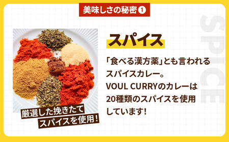 冷凍 VOUL チキンカレー 6食 セット K315-002 カレー 惣菜 総菜 レトルト 肉 お肉 鶏 鶏肉 チキン 肉加工品 加工品 スパイス 国産野菜使用 小麦粉不使用 小分け 便利 簡単 時短 6食分 美味しい おいしい スパイシー 夕食 昼食 ふるさと納税 鹿児島 おすすめ ランキング プレゼント ギフト