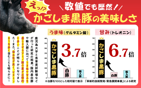 鹿児島県産 黒豚 ミンチ 500g K025-013_01 豚 豚肉 ブタ ぶた 肉 お肉 豚ミンチ 黒豚ミンチ かごしま黒豚 真空 小分け パック 真空パック 便利 使いやすい 鮮度 餃子 そぼろ丼 メンチカツ ハンバーグ 黒豚ハンバーグ コロッケ 酢豚 美味しい おいしい 贅沢 おかず 夕食 昼食 朝食 お弁当 ジューシー ミヤタ ふるさと納税 鹿児島 おすすめ ランキング プレゼント ギフト