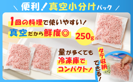 鹿児島県産 黒豚 ミンチ 500g K025-013_01 豚 豚肉 ブタ ぶた 肉 お肉 豚ミンチ 黒豚ミンチ かごしま黒豚 真空 小分け パック 真空パック 便利 使いやすい 鮮度 餃子 そぼろ丼 メンチカツ ハンバーグ 黒豚ハンバーグ コロッケ 酢豚 美味しい おいしい 贅沢 おかず 夕食 昼食 朝食 お弁当 ジューシー ミヤタ ふるさと納税 鹿児島 おすすめ ランキング プレゼント ギフト