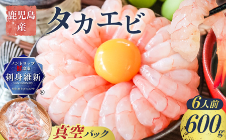 鹿児島産 タカエビ600g 6人前 K100-011 高海老 たかえび