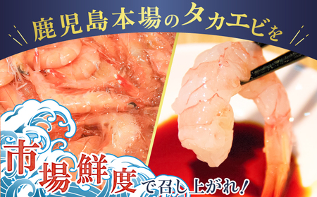 【 生活応援 +マグロ中落丼1P 付き 】 期間限定 鹿児島産 タカエビ 600g 6人前 K100-011_cp 高海老 たかえび 海老 エビ お刺身 味噌汁 塩焼き 魚介類 魚介 美味しい 酒の肴 冷凍 新鮮 津曲商店 ふるさと納税 鹿児島 おすすめ ランキング プレゼント ギフト