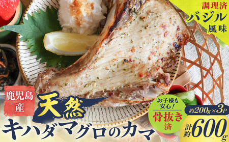 鹿児島産 天然 キハダマグロ の カマ 約200g × 3P 調理済 （ バジル風味 ） K100-012_01 魚 惣菜 総菜 冷凍